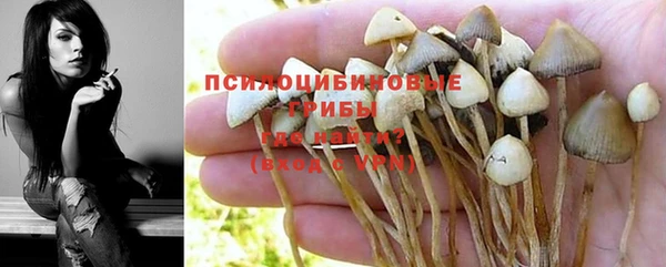 гидропоника Медвежьегорск