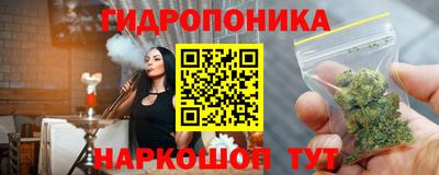 ешки Камышлов