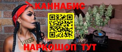 ешки Камышлов
