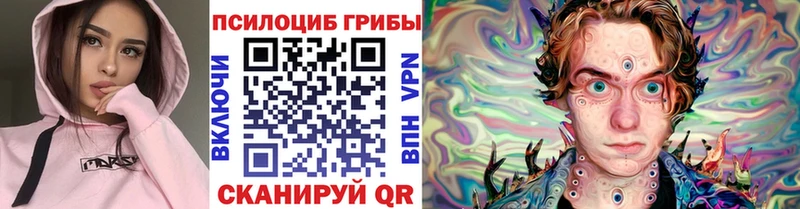 Галлюциногенные грибы Cubensis  Михайловка 