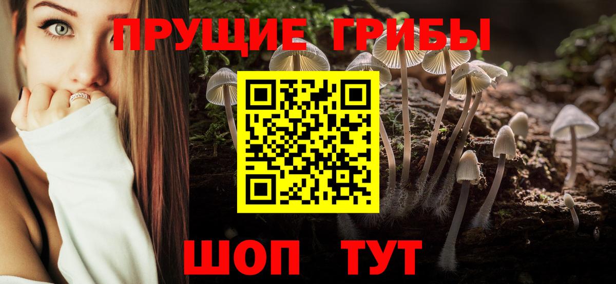 Михайловка  Псилоцибиновые грибы мухоморы  Вход с VPN 